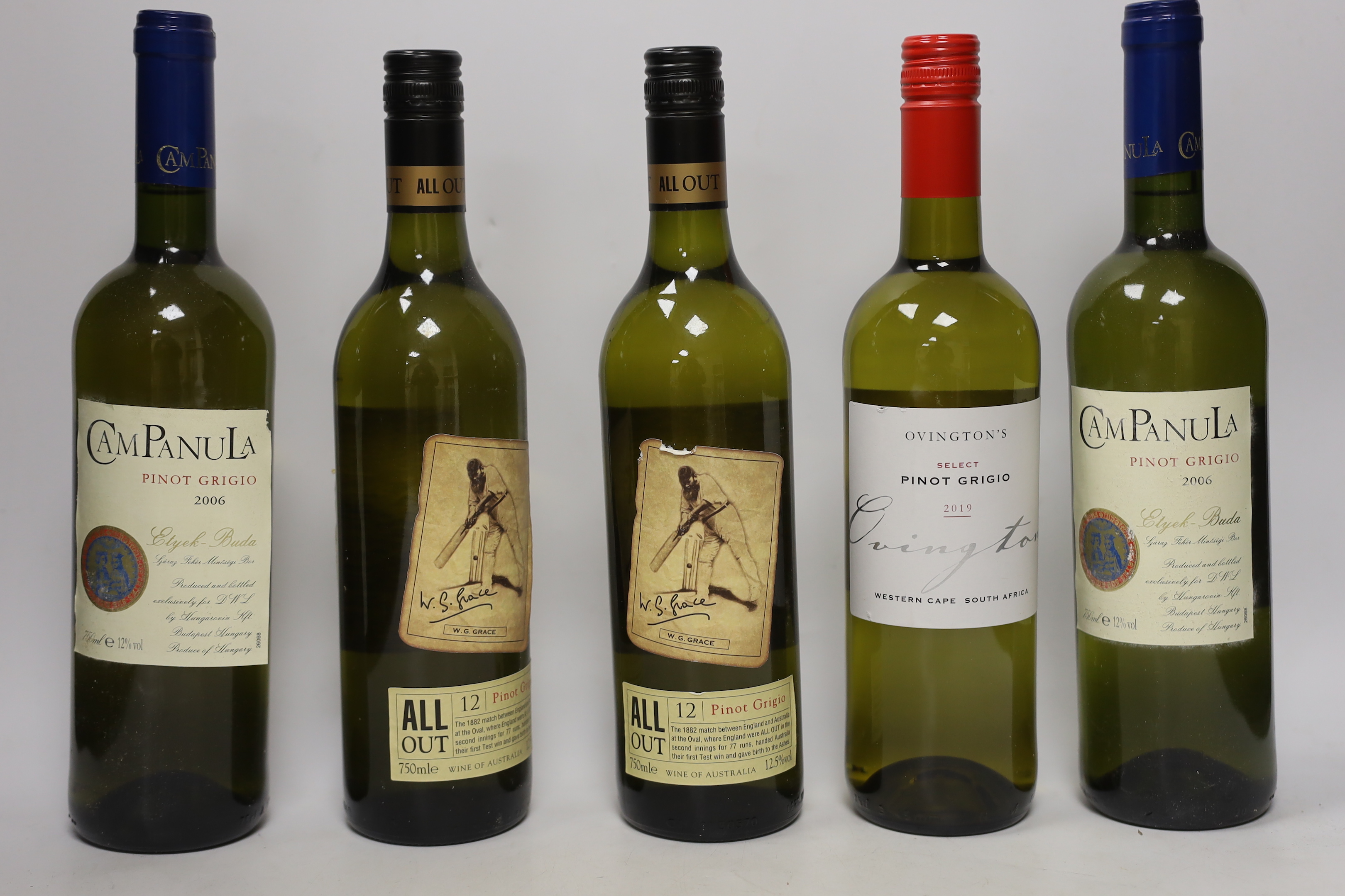 Twelve bottles of white wine; Campanula, Ovington’s, All Out, Villa Maserati, etc. all Pinot Grigio